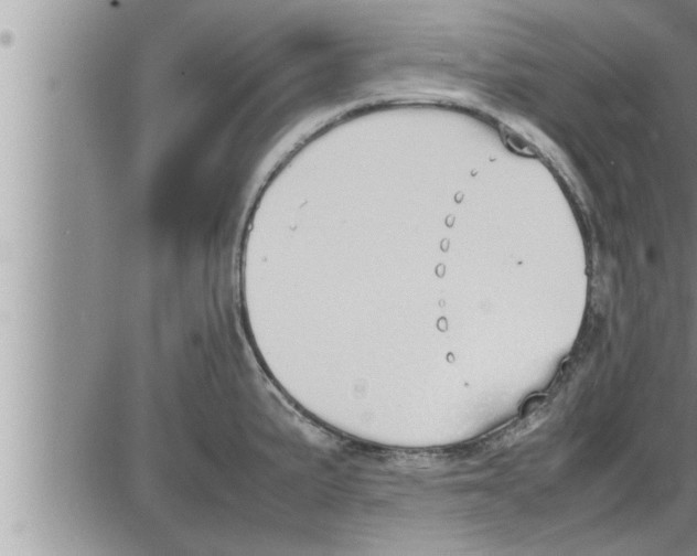 X0000086331191200704271934