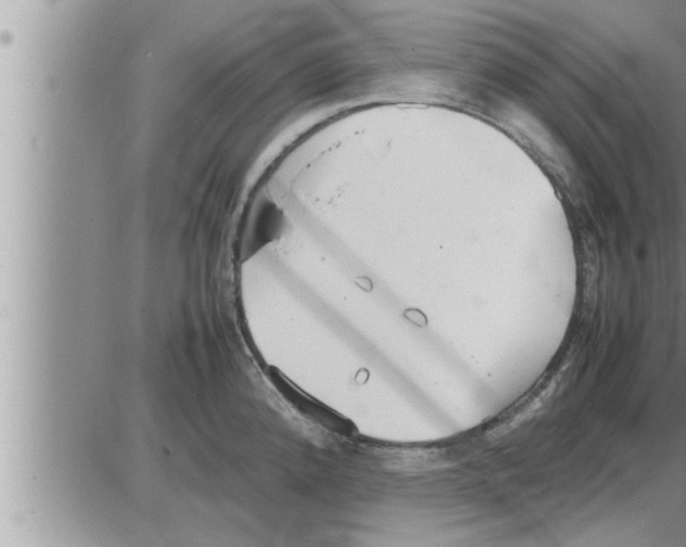 X0000086331192200704271934