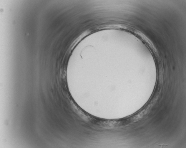 X0000086331193200704271934