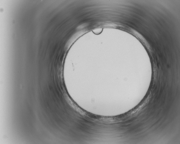 X0000086331194200704271934