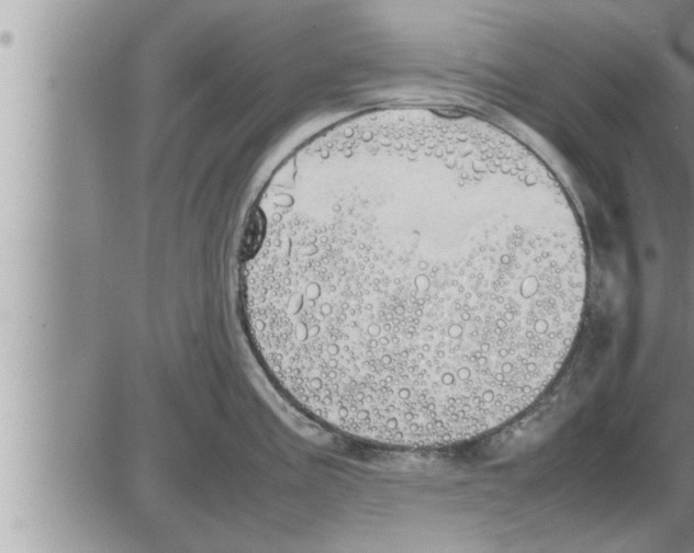 X0000086331195200704271934