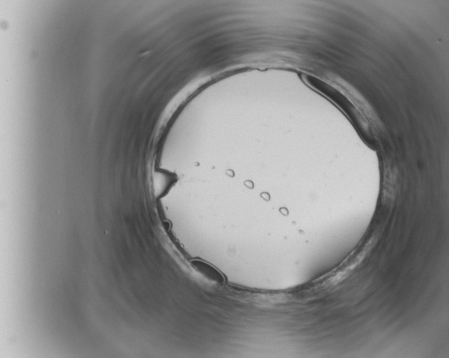 X0000086331196200704271934