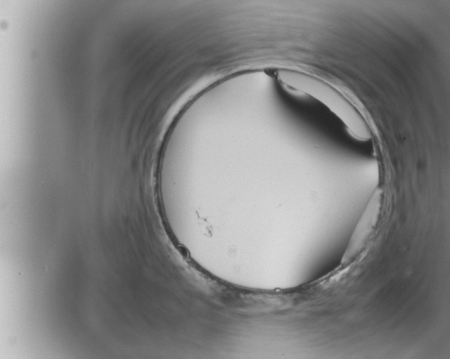 X0000086331197200704271934