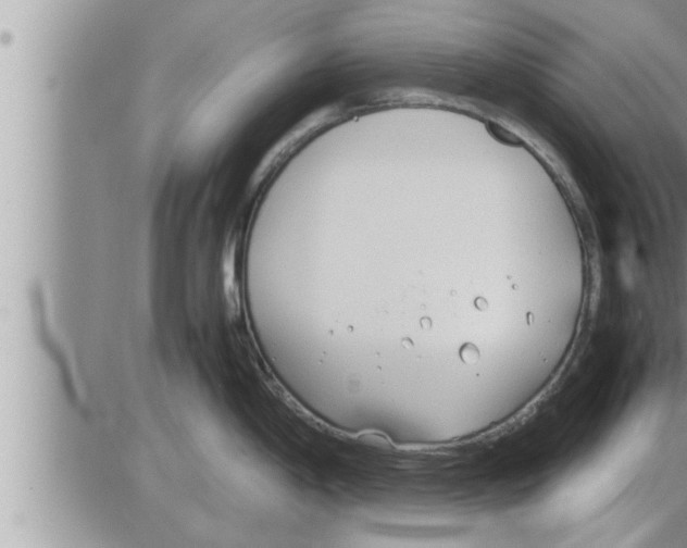 X0000086331198200704271934