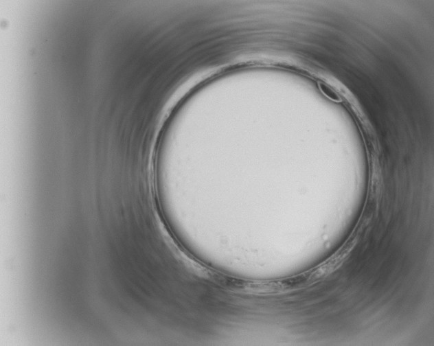 X0000086331199200704271934