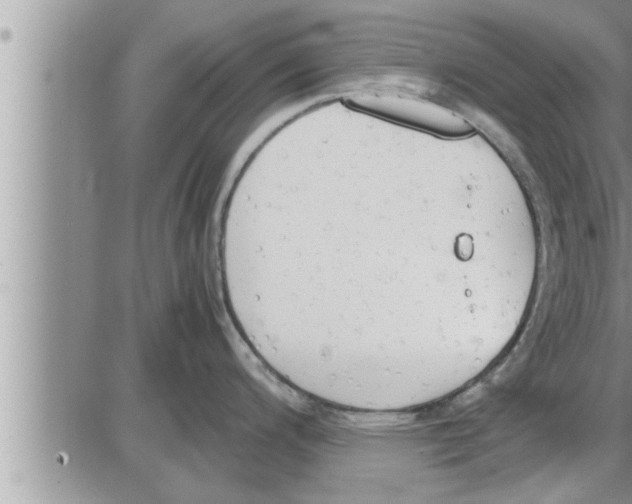 X0000086331200200704271934