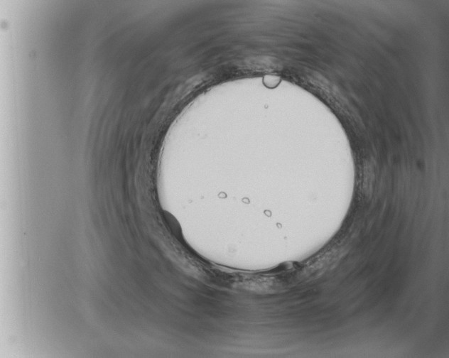 X0000086331201200704271933