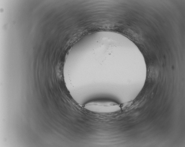 X0000086331202200704271933