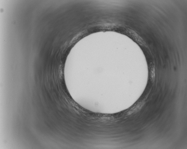 X0000086331204200704271933