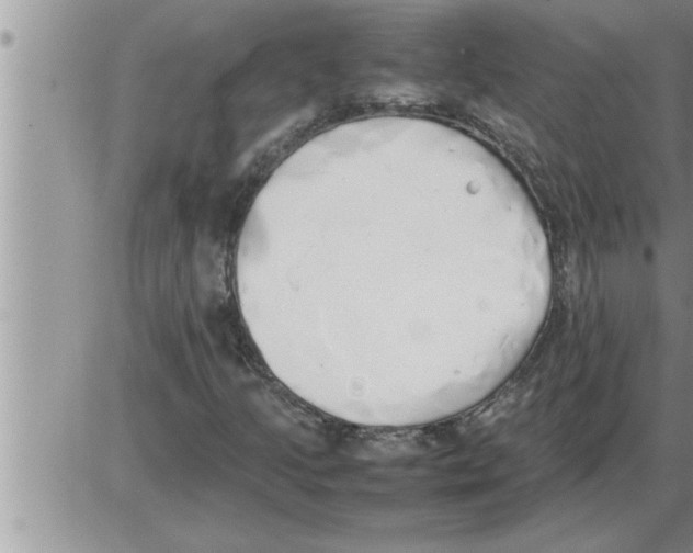 X0000086331205200704271933