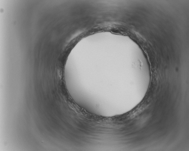 X0000086331206200704271934