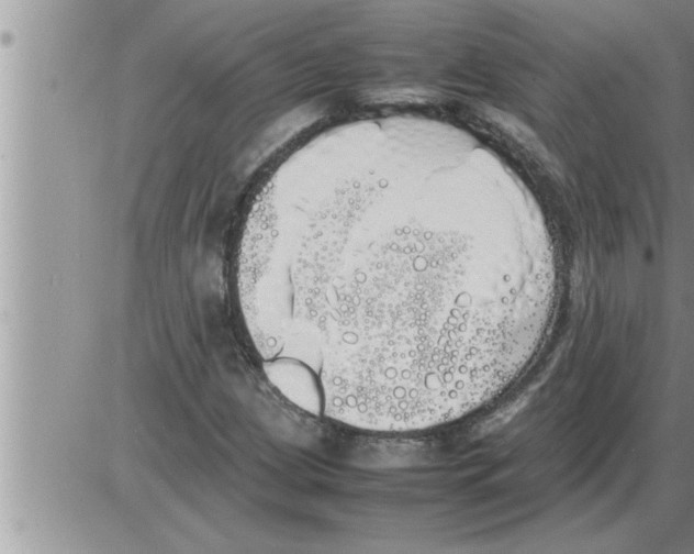 X0000086331209200704271934