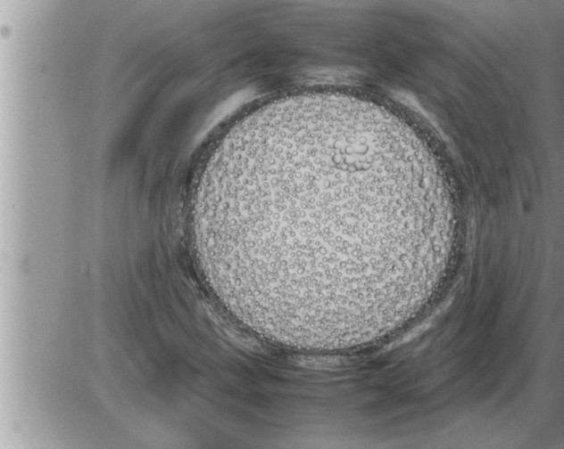 X0000086331211200704271934