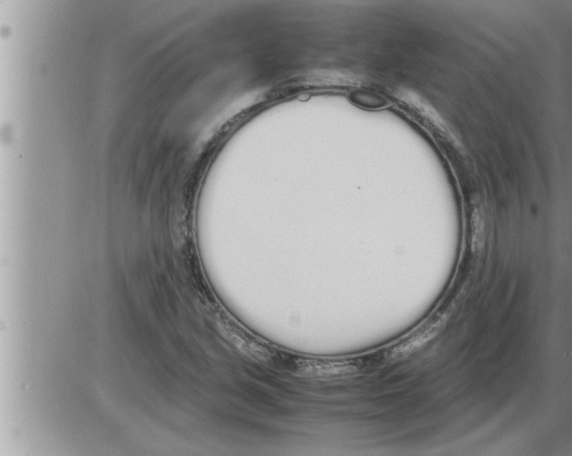 X0000086331213200704271934