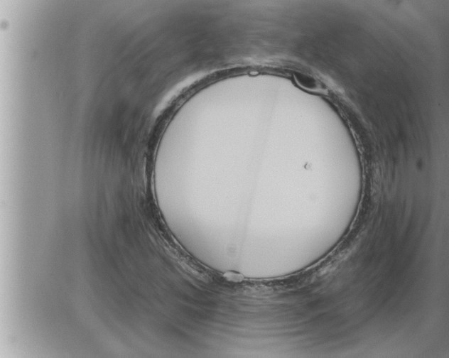 X0000086331214200704271934