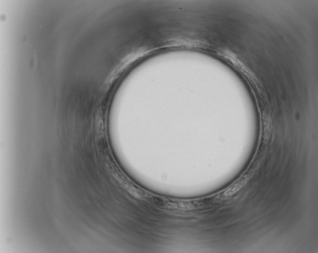 X0000086331215200704271934