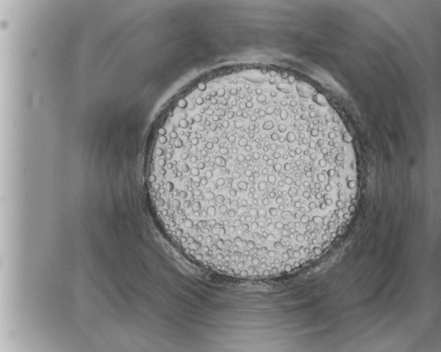 X0000086331216200704271934