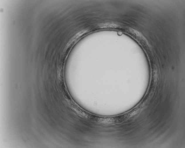 X0000086331217200704271934