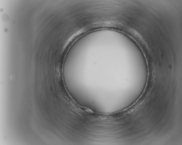 X0000086331218200704271934