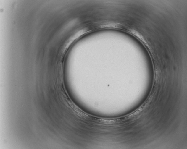 X0000086331219200704271934