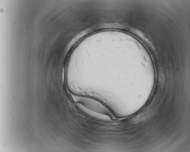 X0000086331221200704271934