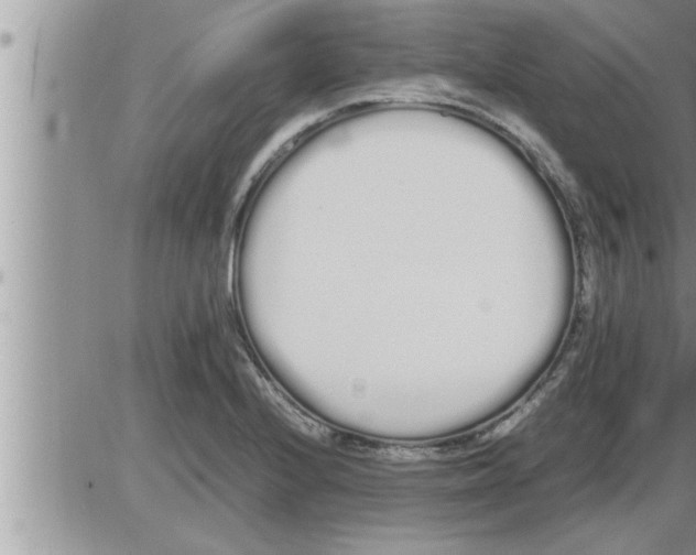 X0000086331224200704271934