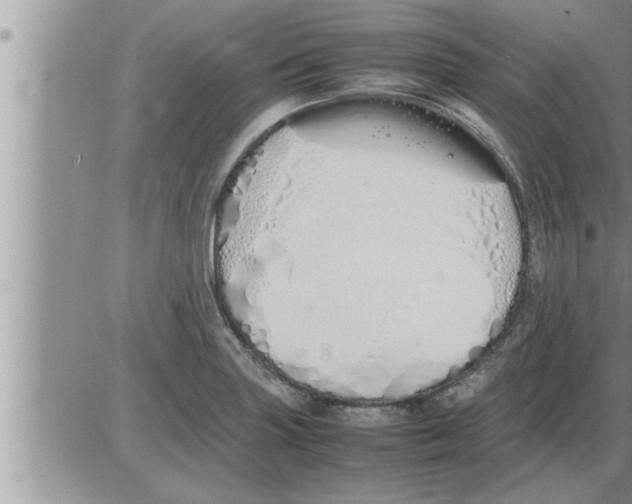 X0000086331227200704271934