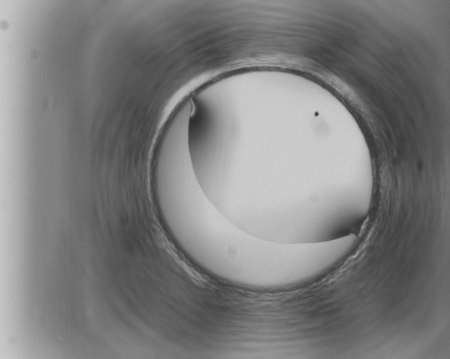 X0000086331230200704271934