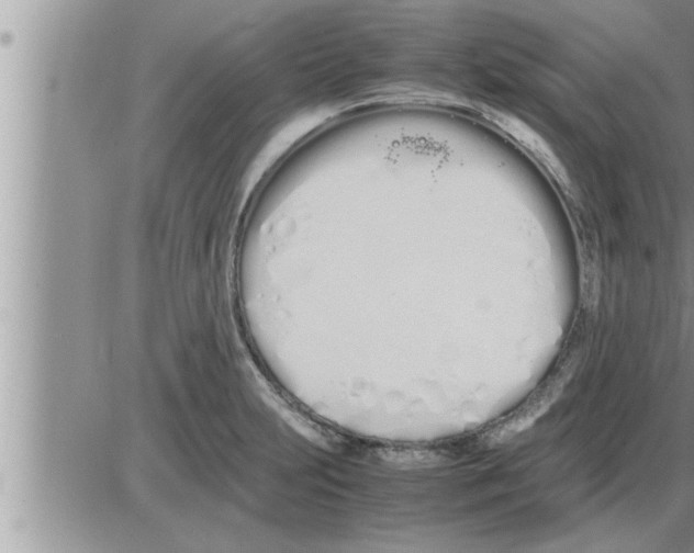 X0000086331231200704271934