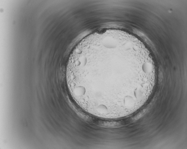 X0000086331233200704271934