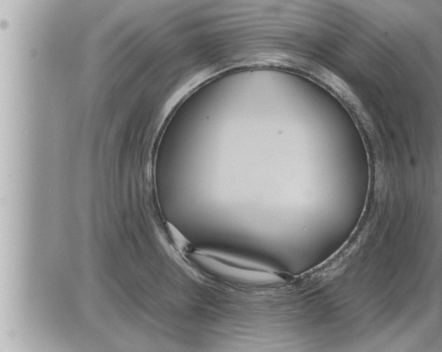 X0000086331234200704271934