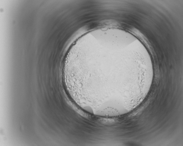 X0000086331235200704271934