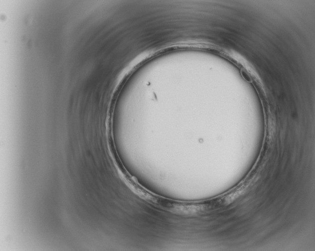 X0000086331237200704271934