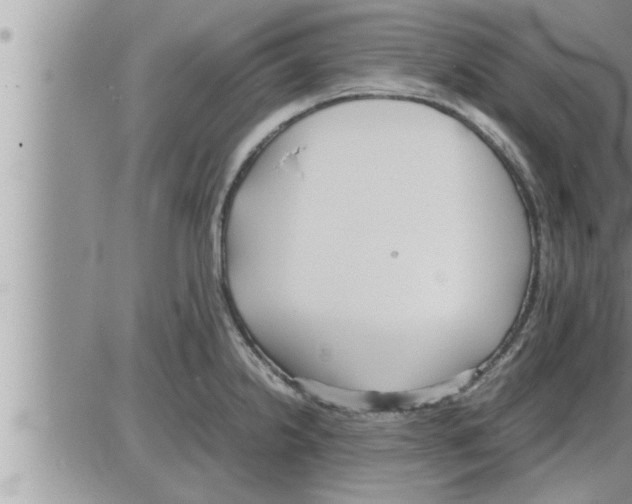 X0000086331238200704271934