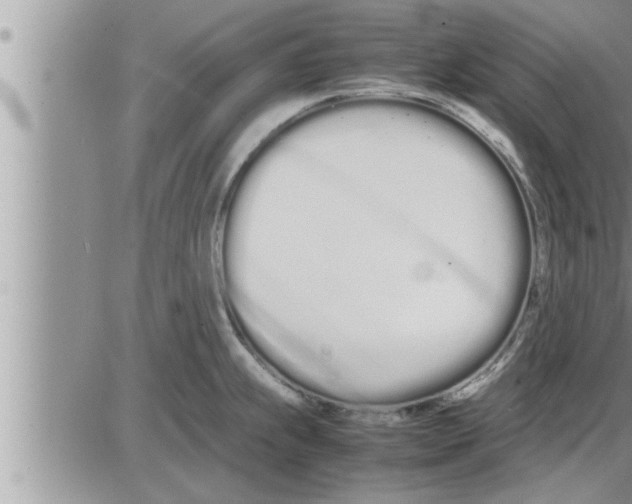 X0000086331239200704271934