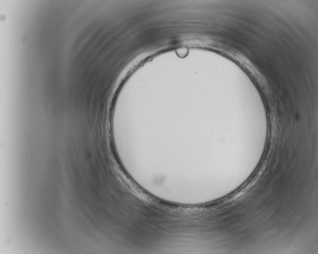 X0000086331240200704271934