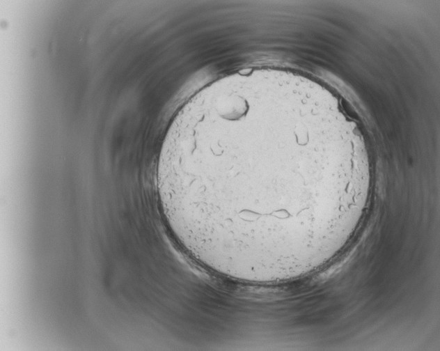 X0000086331241200704271934