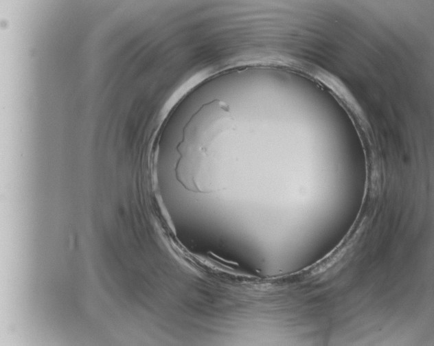 X0000086331242200704271934