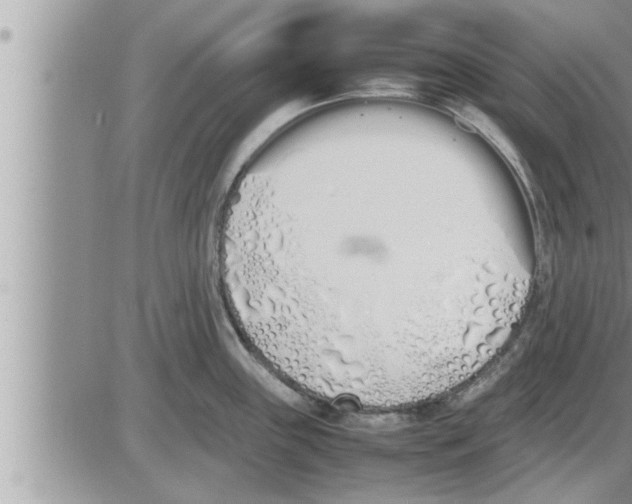 X0000086331243200704271934