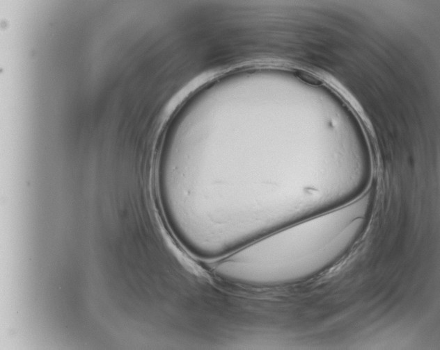 X0000086331245200704271934