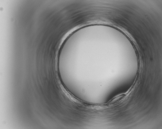 X0000086331246200704271934