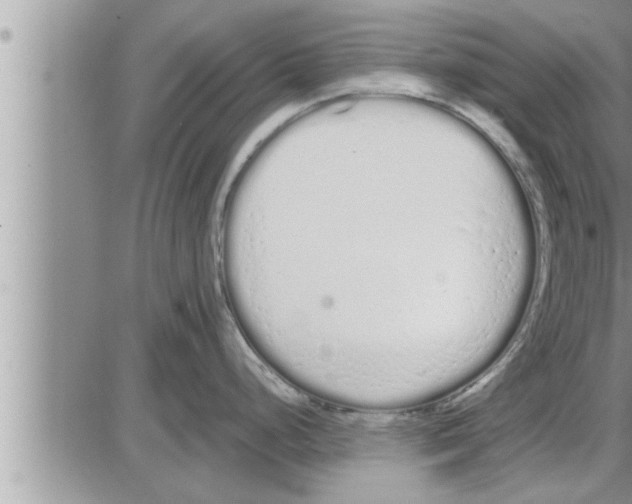 X0000086331248200704271934