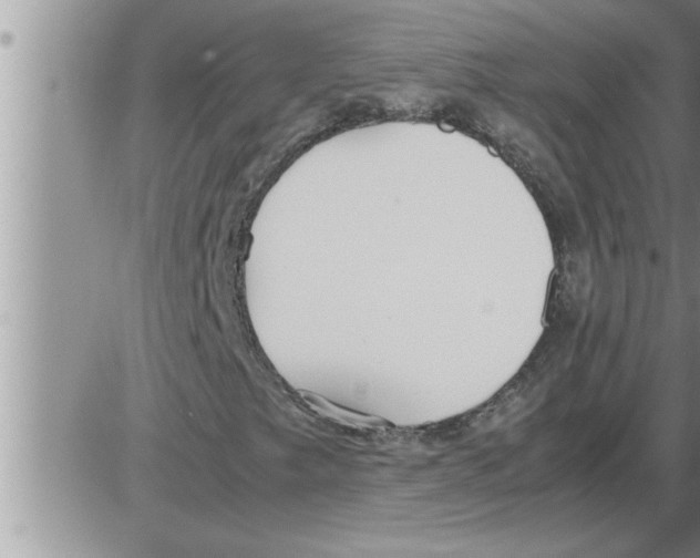 X0000086331249200704271933