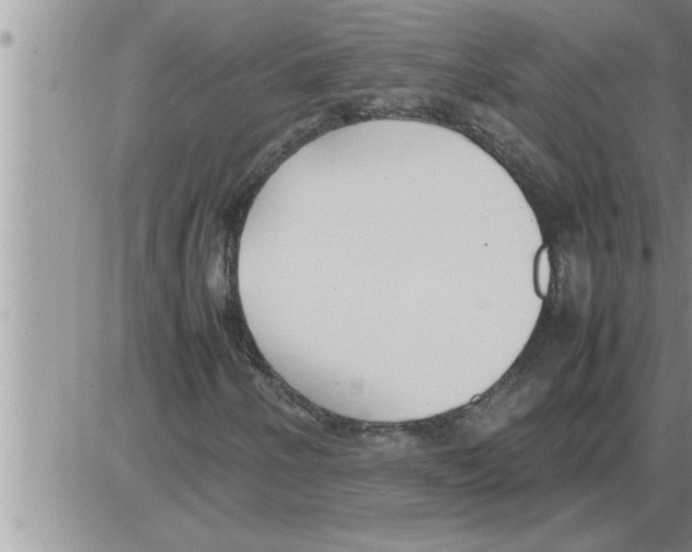 X0000086331250200704271933