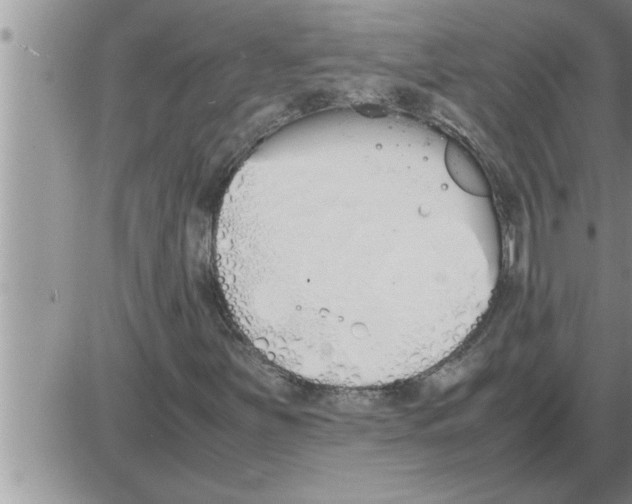 X0000086331251200704271933