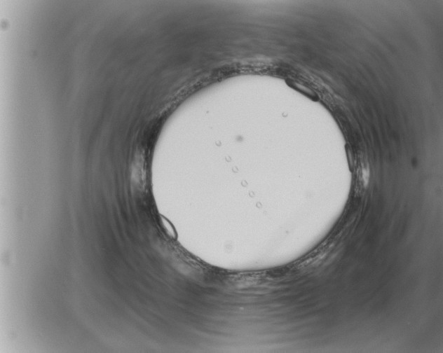 X0000086331252200704271933