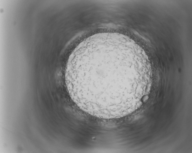 X0000086331254200704271933