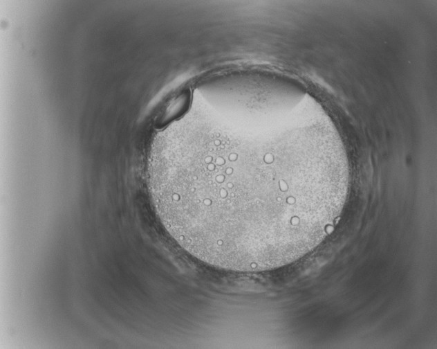 X0000086331255200704271933