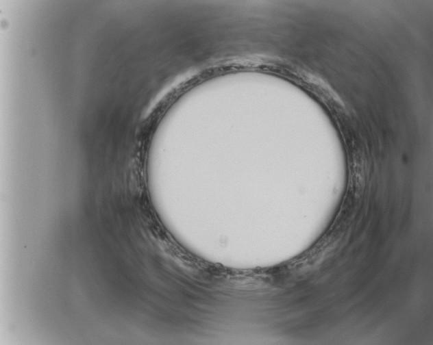 X0000086331256200704271933