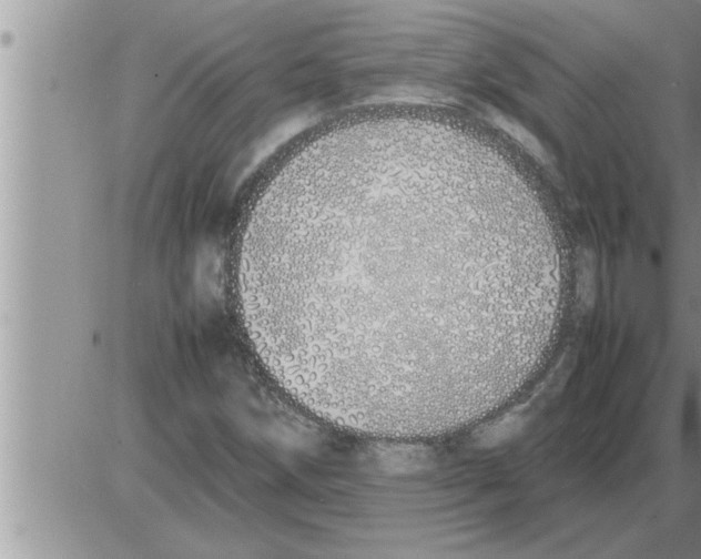 X0000086331258200704271933